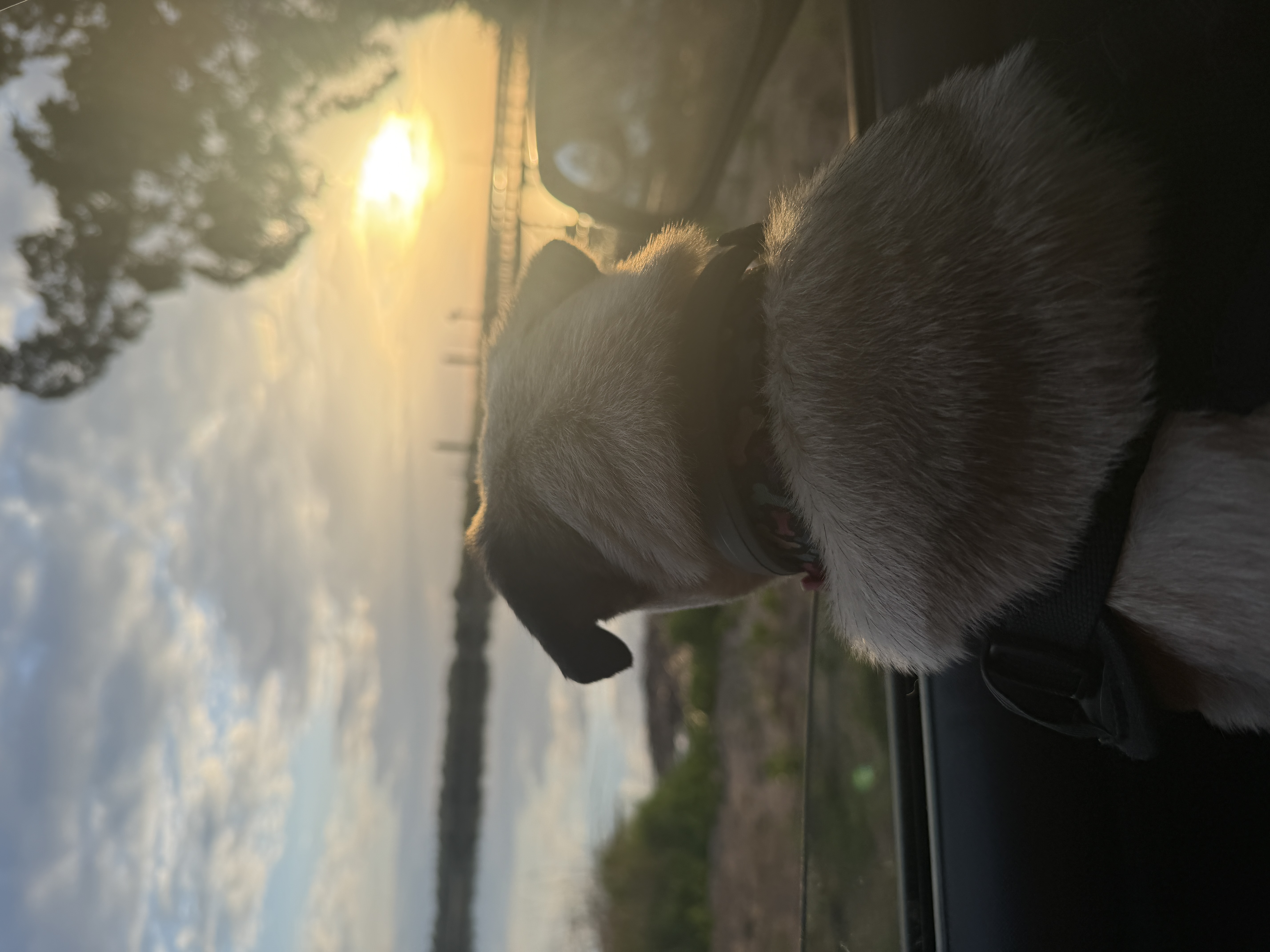 Sunset car mood photo of Barbie